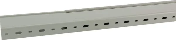 Tehalit - B60025R7030 - Cable Trunking 60x25mm