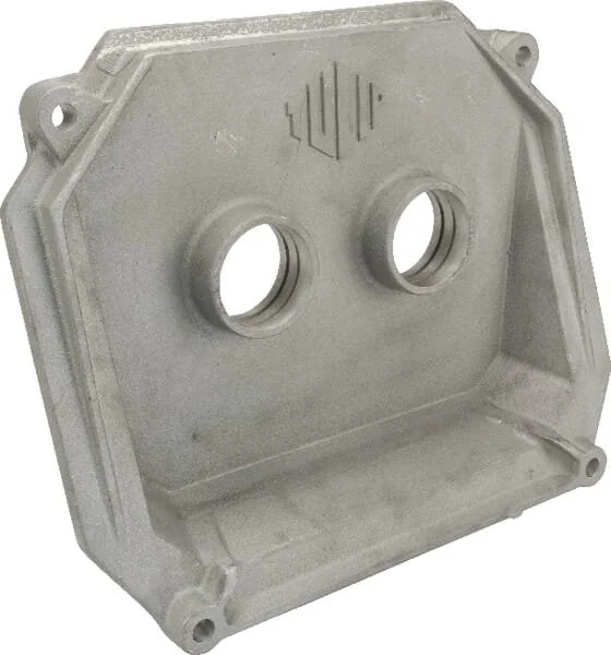 Tulip - 1162404460 - Cover