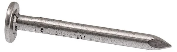 Unbranded - 1545153030 - Roofing Nails, 3.0x30mm