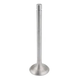 Unbranded - 2401007014B4N - Intake Valve