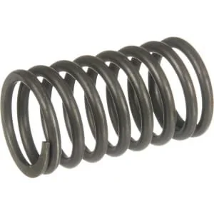 Unbranded - 2401007045A1N - Exhaust Valve Spring Outer