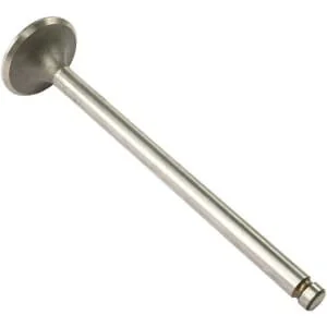 Vapormatic - VPA1260 - Exhaust Valve (x4)
