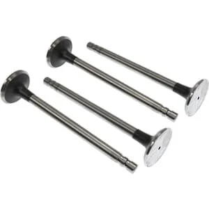 Vapormatic - VPA1502 - Exhaust Valve (x4)