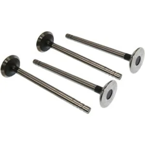 Vapormatic - VPA1572 - Exhaust Valve (x4)