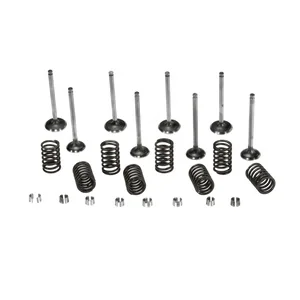 Vapormatic - VPA6054 - Valve Kit