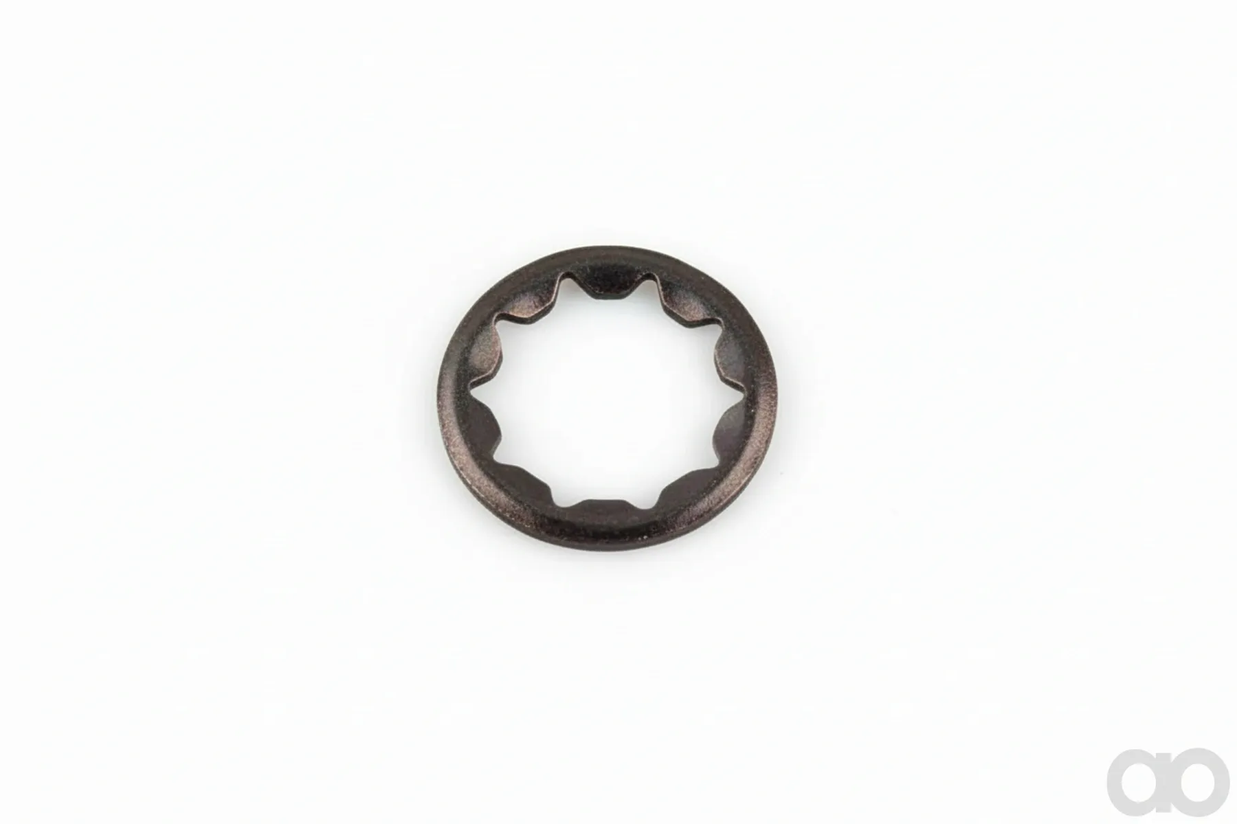 Rau - RF0203979 - Washer