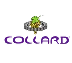 Collard