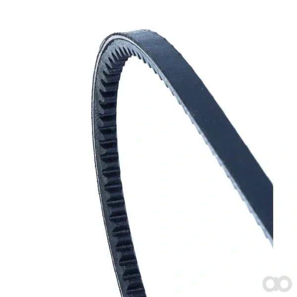 SAME - 02235265 - Belt 2x AV 10x1600 mm