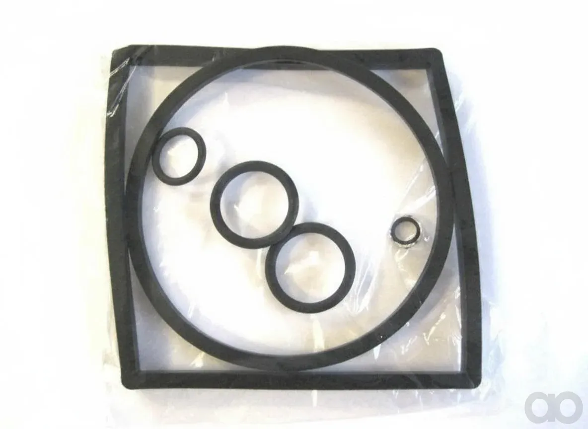 SAME - 04297813 - Gasket Kit