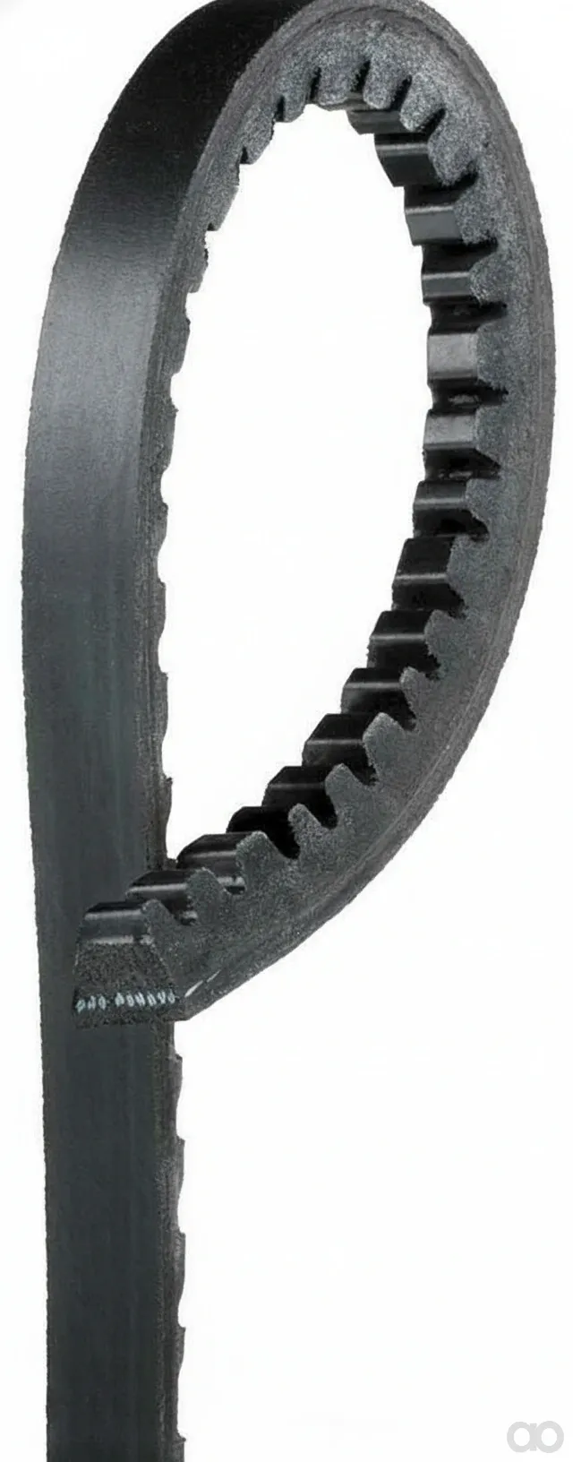 SAME - 241190010 - Belt