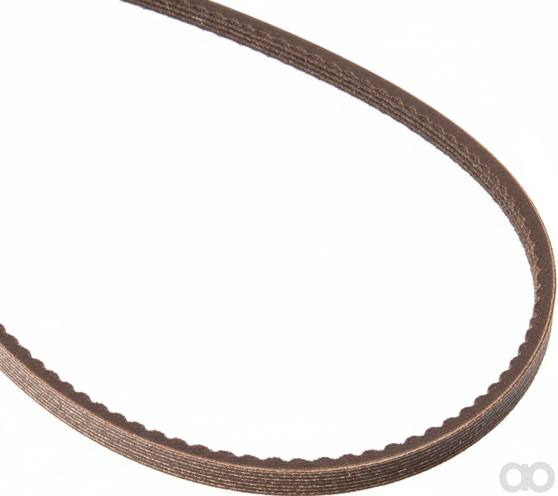 Simplicity - 1732945 - BELT