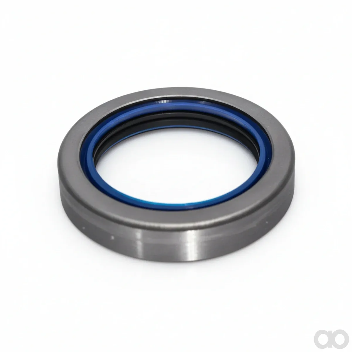 Steyr - 5119540 - Gasket