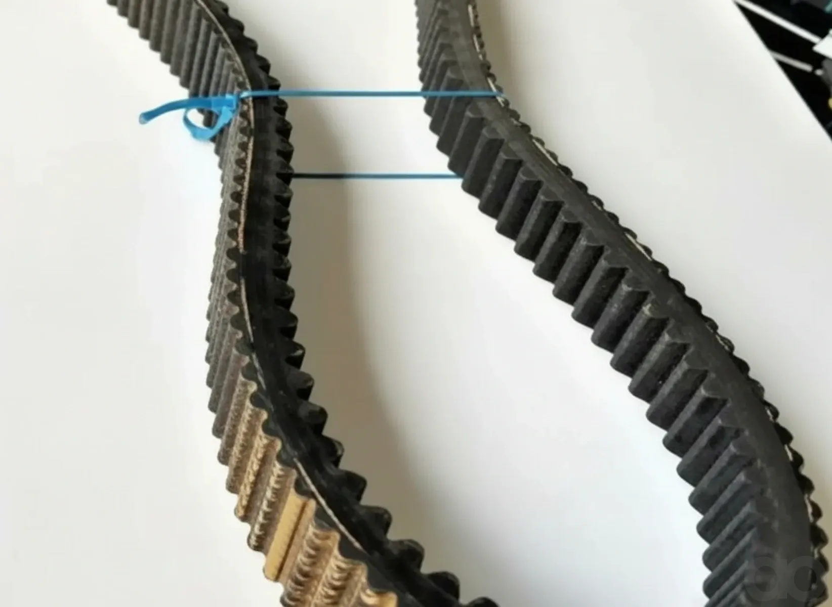 Tagex - 6098230 - V-Belt Tagex