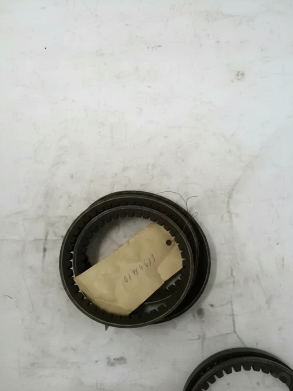 Unbranded - 67901170 - Belt