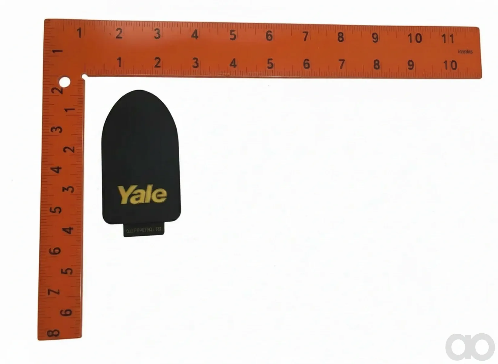 yale