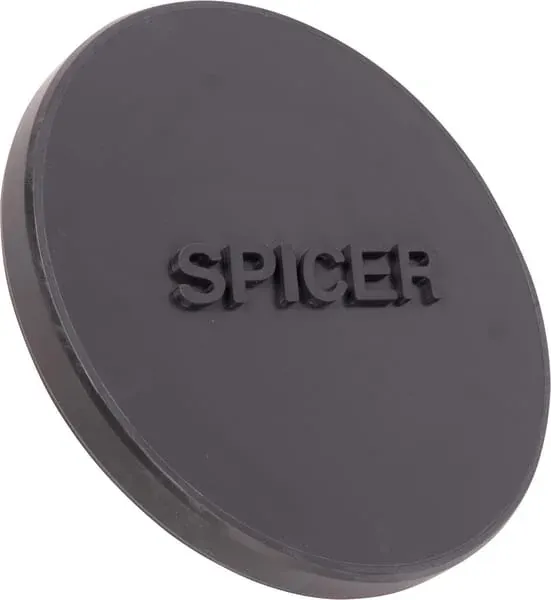 Dana Spicer
