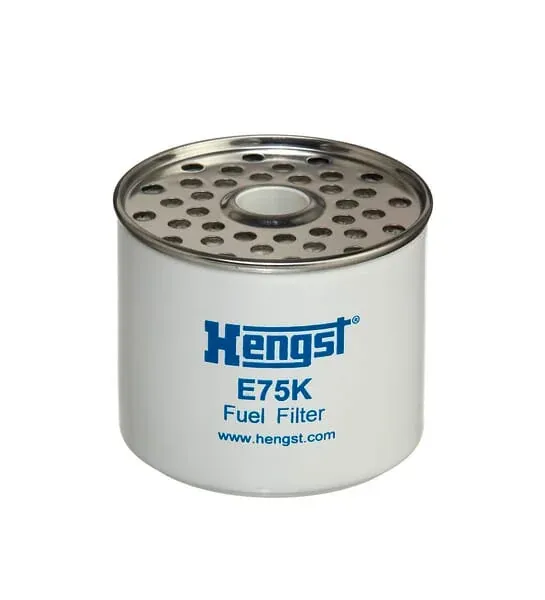Hengst