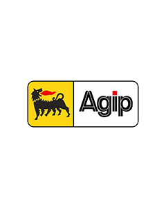 Agip - 3QMLKLGT2P25K - balde 25 kg massa preta molykote br2 plus