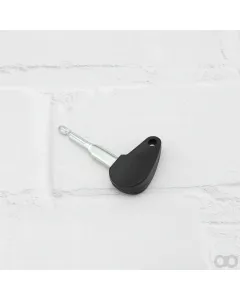 Agria - 50961 - Ignition Key F 12971