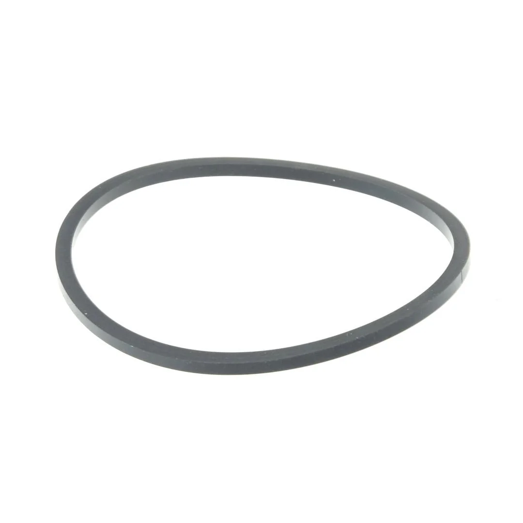 AGCO - 1851891M1 - Massey Ferguson  Fuel Filter Seal Ring