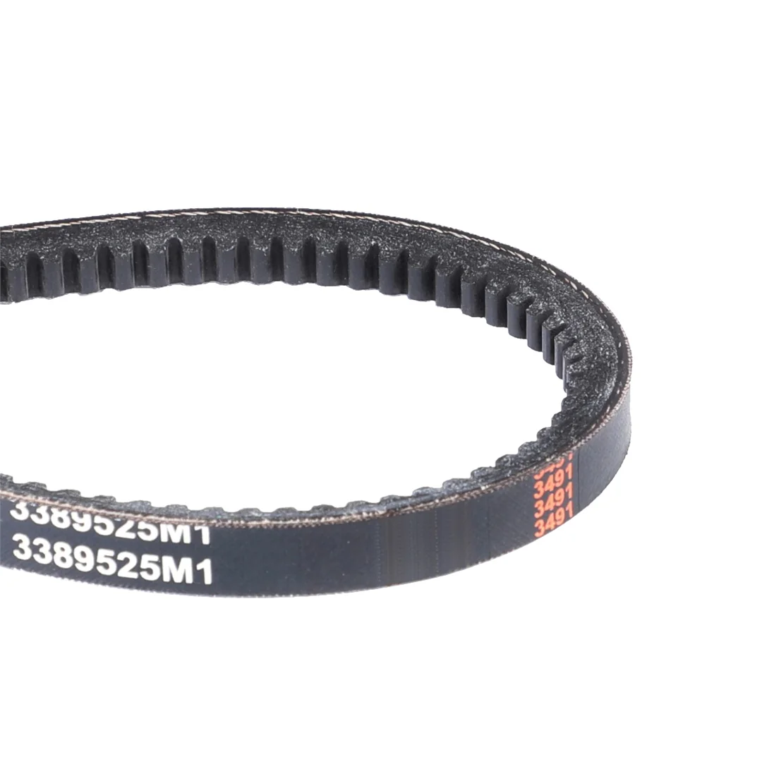 AGCO - 3389525M1 - Massey Ferguson Compressor Belt