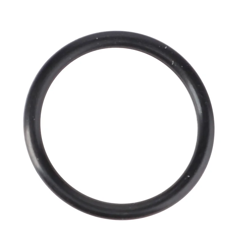 AGCO - 4225847M1 - Massey Ferguson  Injector O-Ring