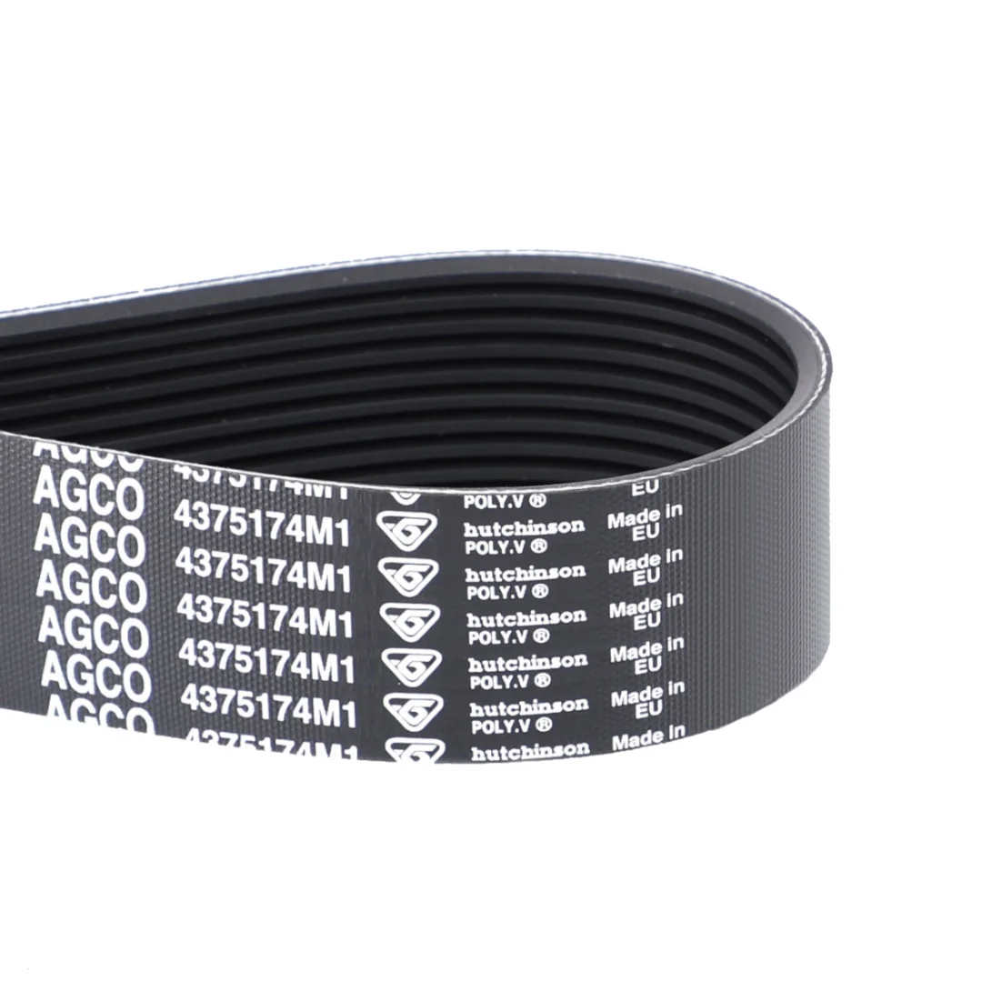 AGCO - 4375174M1 - Alternator Multi-Rib Belt Massey Ferguson