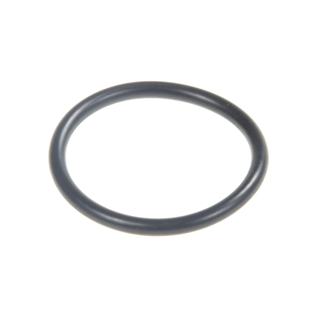 AGCO - 70923813 - O-Ring for Hydraulic Pump Massey Ferguson