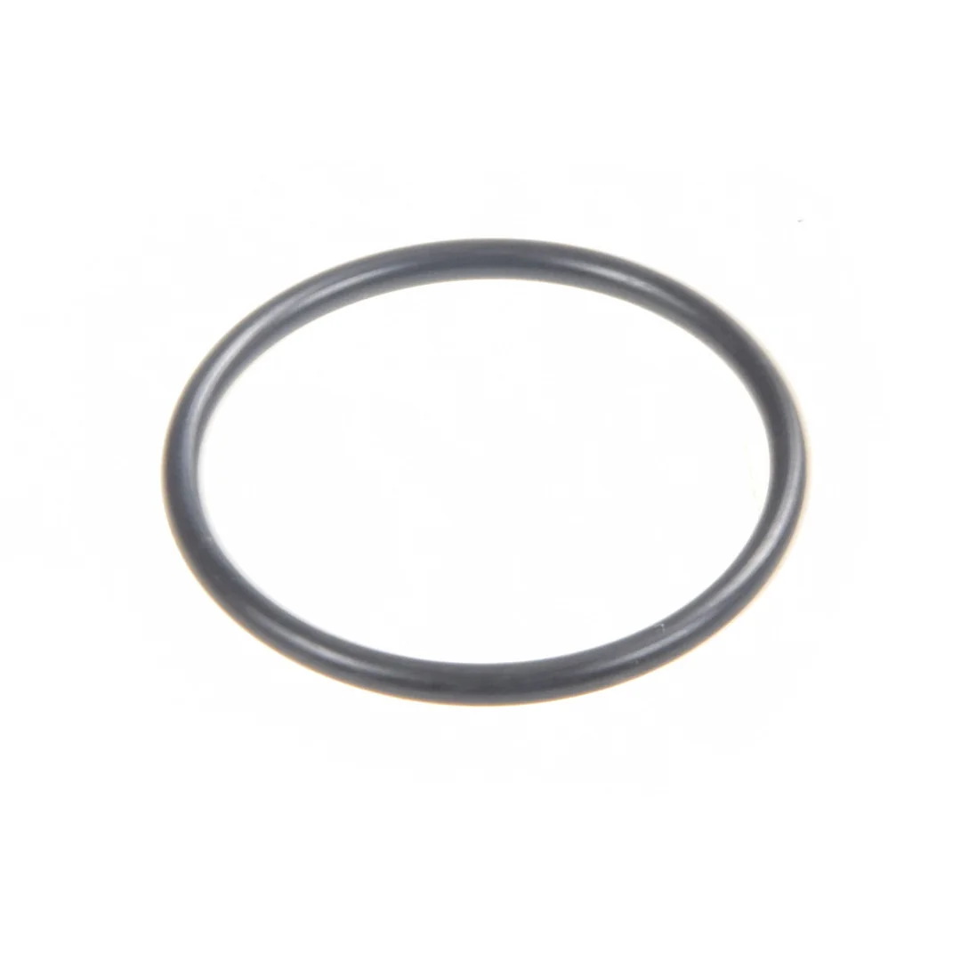AGCO - 831702M1 - Massey Ferguson  Hydraulic Pump O-Ring