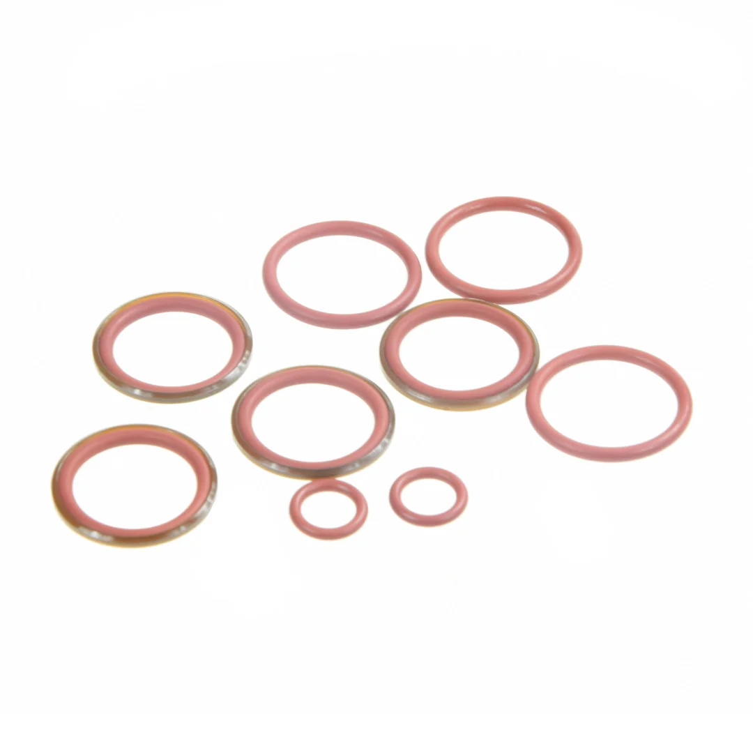 AGCO - G001990011520 - Fendt Valve Plate Seal Set