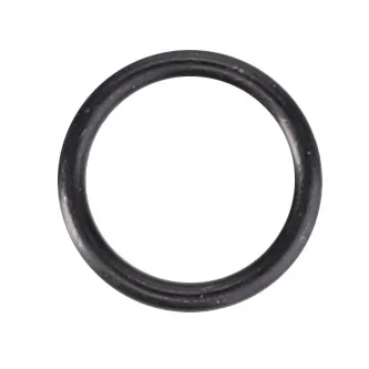 AGCO - V614601624 - Massey Ferguson  EGR O-Ring
