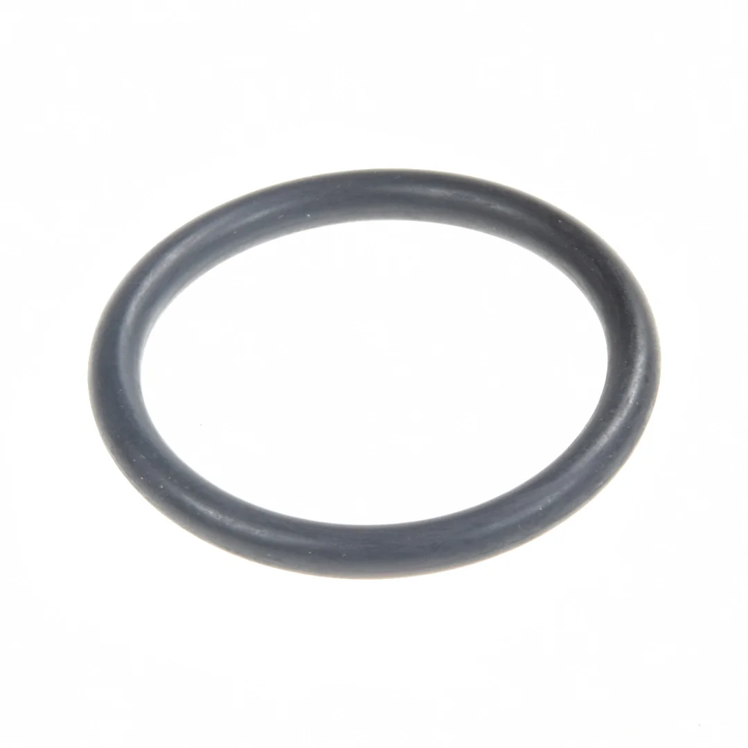 AGCO - V614604958 - Massey Ferguson Thermostat O-Ring