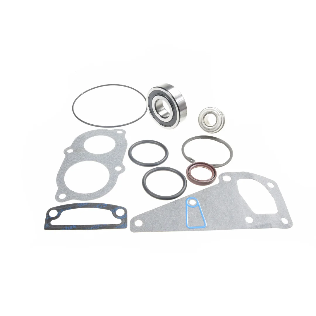 AGCO - V836862613 - Water Pump Repair Kit Massey Ferguson