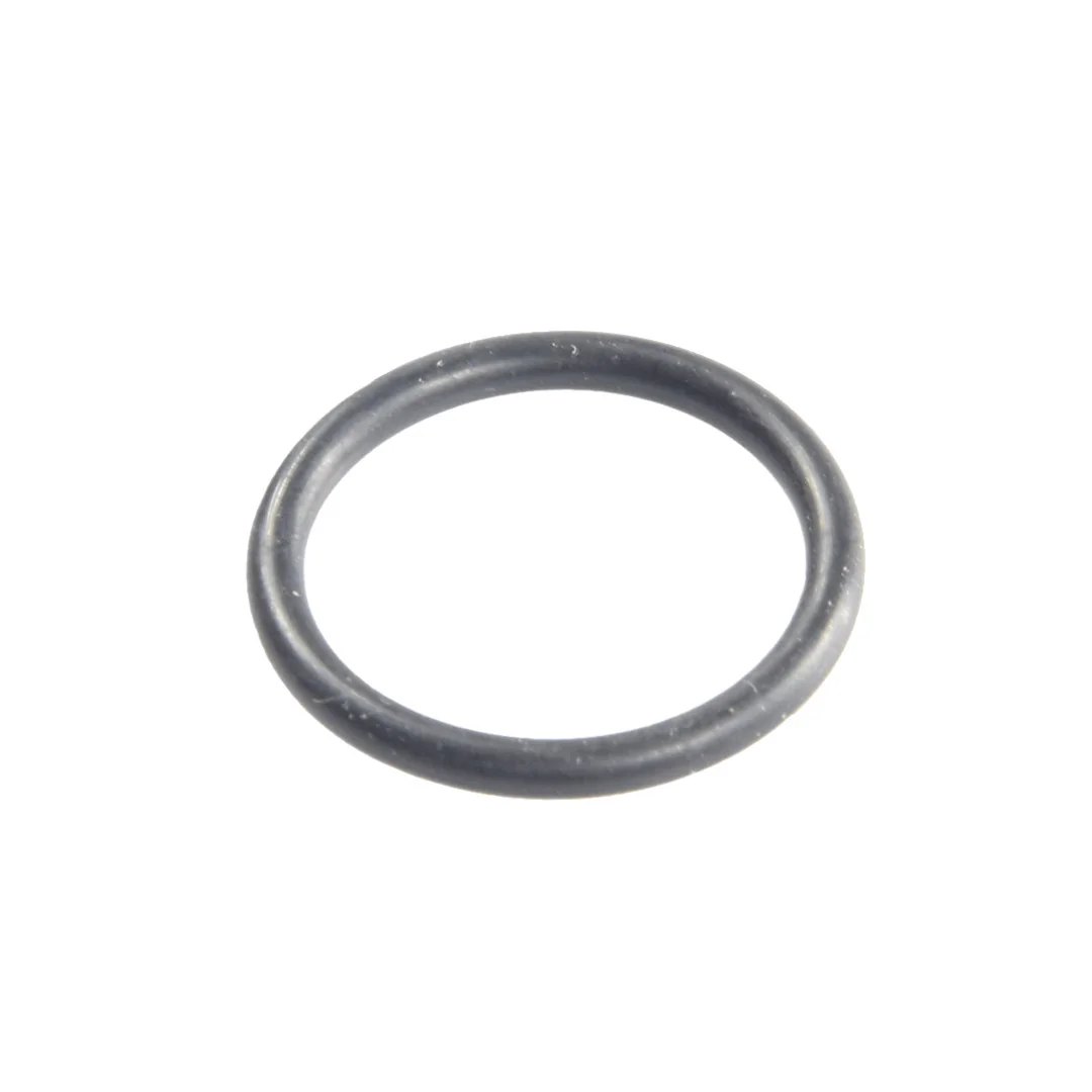 AGCO - X548860601000 - O-Ring Hydraulics Massey Ferguson