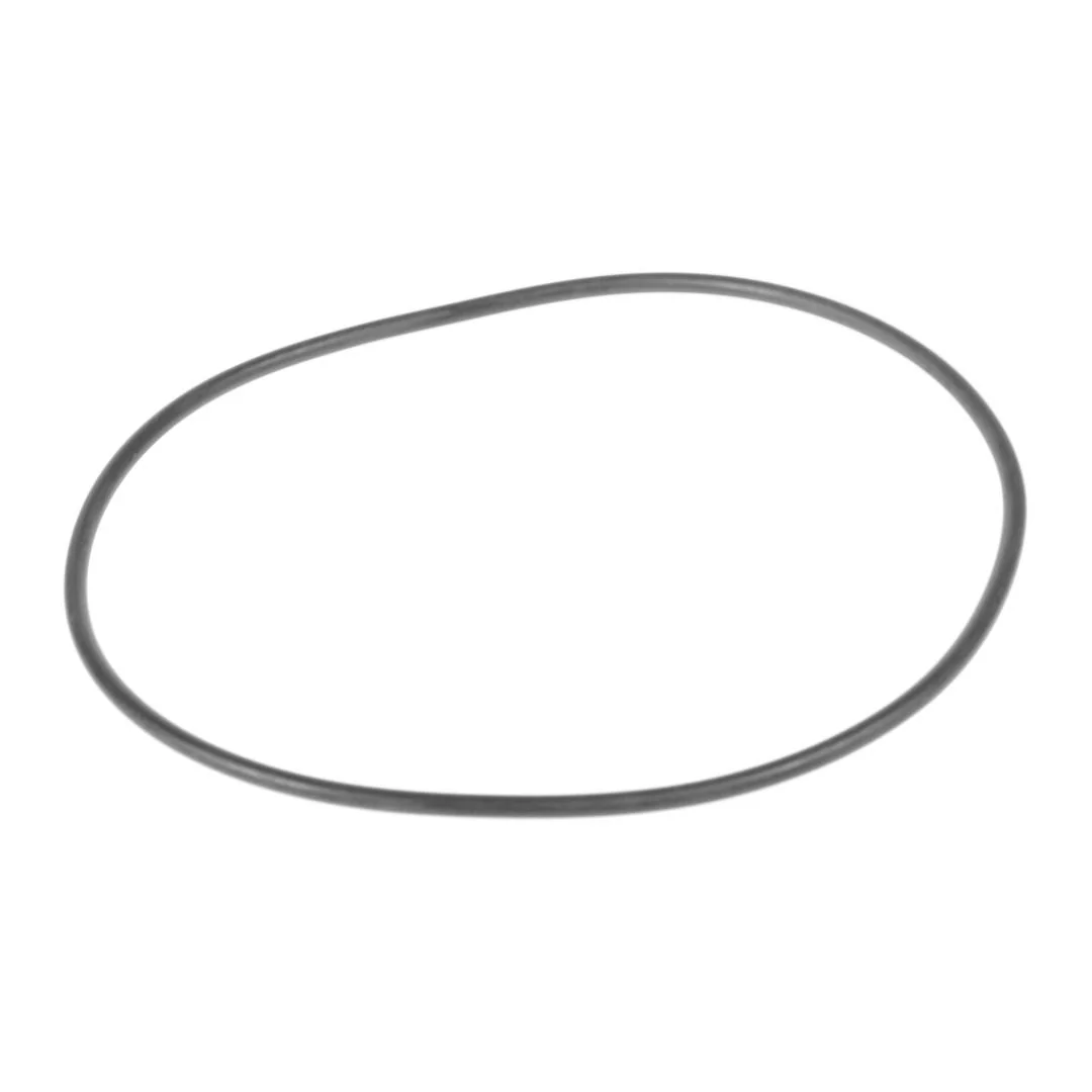 AGCO - X548989201000 - O-Ring Fendt