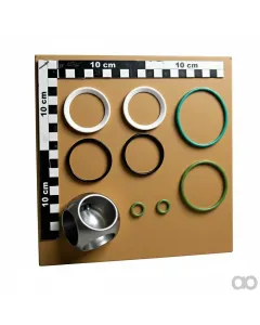 Amazone - 925287 - Seal Set for Zf601 ##E