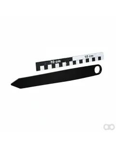 Amazone - 929466 - Pointer ##E