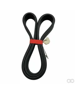 Amazone - EG068 - Poly-V Belt L8 L=991