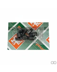 Amazone - EK095 - Cam Spring Set 300Nm