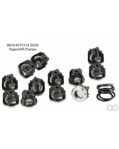 AR Annovi Reverberi - KIT2114 - Valve Set with O-Rings
