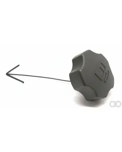 As Motor - E03460 - Special Screw