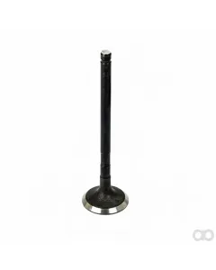 Braun - 31120K - Valve Kit Dual Relief-VL995