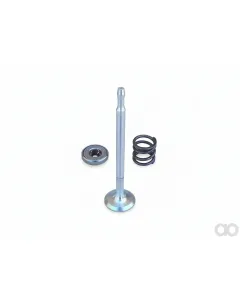 Briggs and Stratton - 212004 - Exhaust Valve