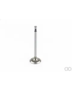 Briggs and Stratton - 260961 - Intake Valve