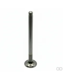 Briggs and Stratton - 261912 - Exhaust Valve