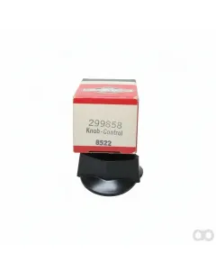 Briggs and Stratton - 299858 - Cap