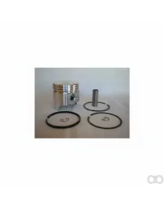Briggs and Stratton - 390364 - Piston and Rings