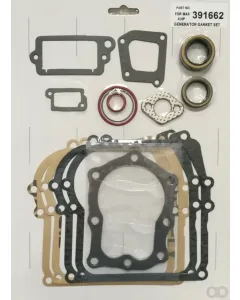 Briggs and Stratton - 391662 - Gasket Set