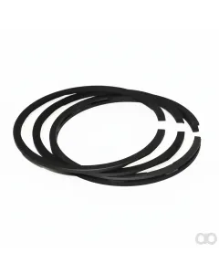 Briggs and Stratton - 391672 - Piston Ring Set