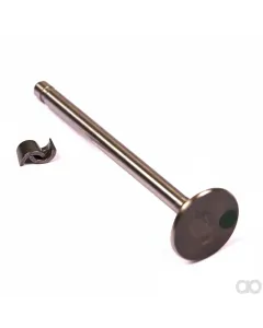 Briggs and Stratton - 394434 - Valve